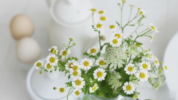 你是我义无反顾撞过的南墙,是黄梁的空欢喜一场3