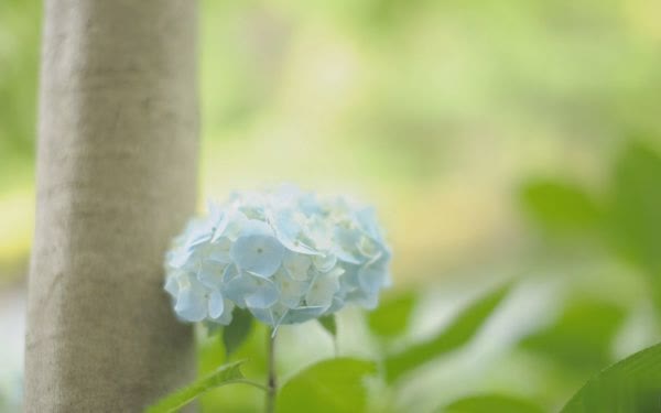 你是我义无反顾撞过的南墙,是黄梁的空欢喜一场2 你是我义无反顾撞过的南墙,是黄梁的空欢喜一场2