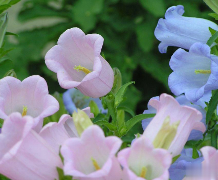 2021关于五月的伤感说说 告别四月迎接五月的伤感句子2