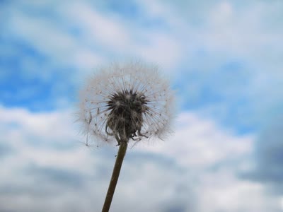 心情低落的句子2