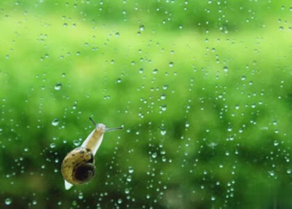 伤感的心情说说大全:你是我患得患失的梦,我是你可有可无的人