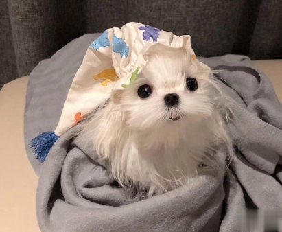 清明节祭英烈寄语简短的 2021清明节缅怀英雄的句子2