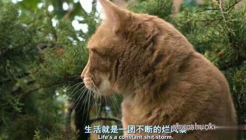 伤感说说2018心累了:遗憾吗,我们就这样莫名其妙的谁也不喜欢谁了2