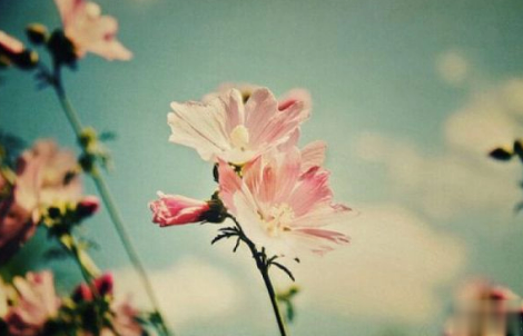 2018伤感句子句句心痛 非主流伤感说说句子大全2