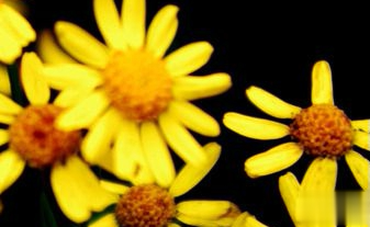 在梦里也会潸然泪下的说说带图 如果时光倒流峩扪能抓得住什么2