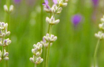 在梦里也会潸然泪下的说说带图 如果时光倒流峩扪能抓得住什么5