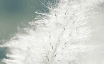 在梦里也会潸然泪下的说说带图 如果时光倒流峩扪能抓得住什么8