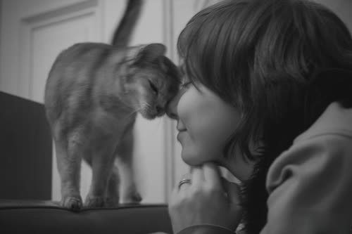 女生大爱的伤感文艺说说 适合00后女生发的伤感说说