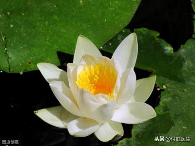 少女分泌物褐色怎么办？少女有褐色分泌物正常吗