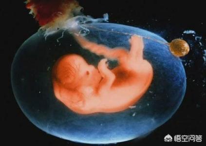 怀孕三个多月羊水应该多少是正常